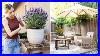 Beautiful Patio Decorating Ideas Spring Patio Refresh Small Outdoor Patio Styling